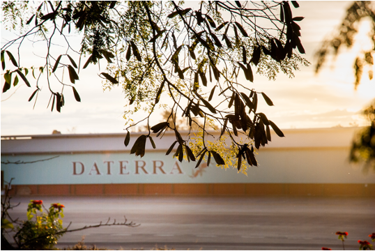 Brasile: Daterra Boa Vista