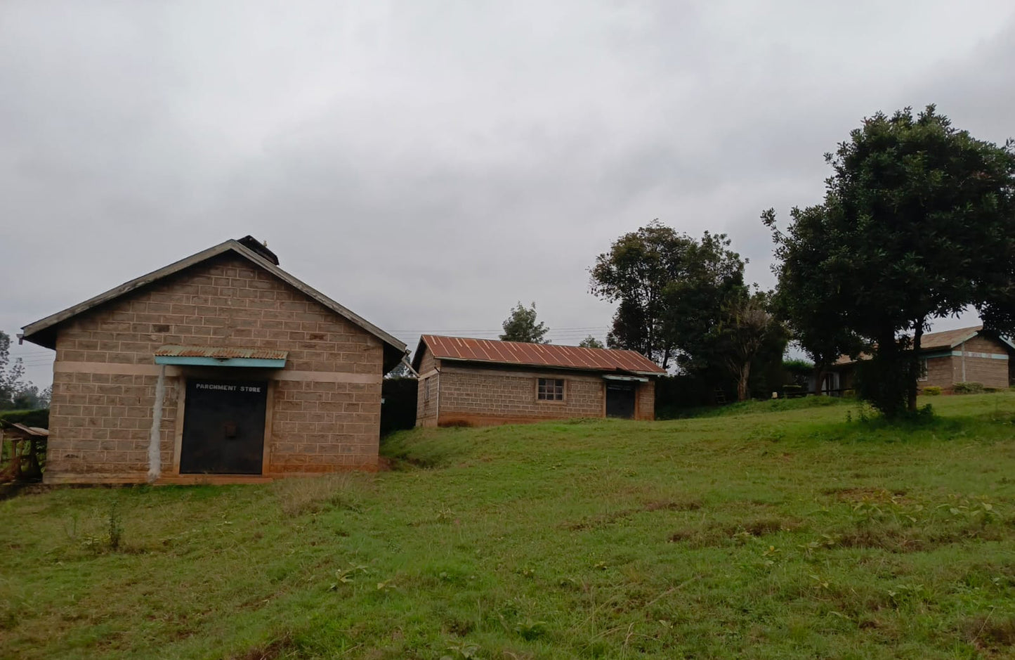 Kenya: Nyeri Swiss Water Decaf