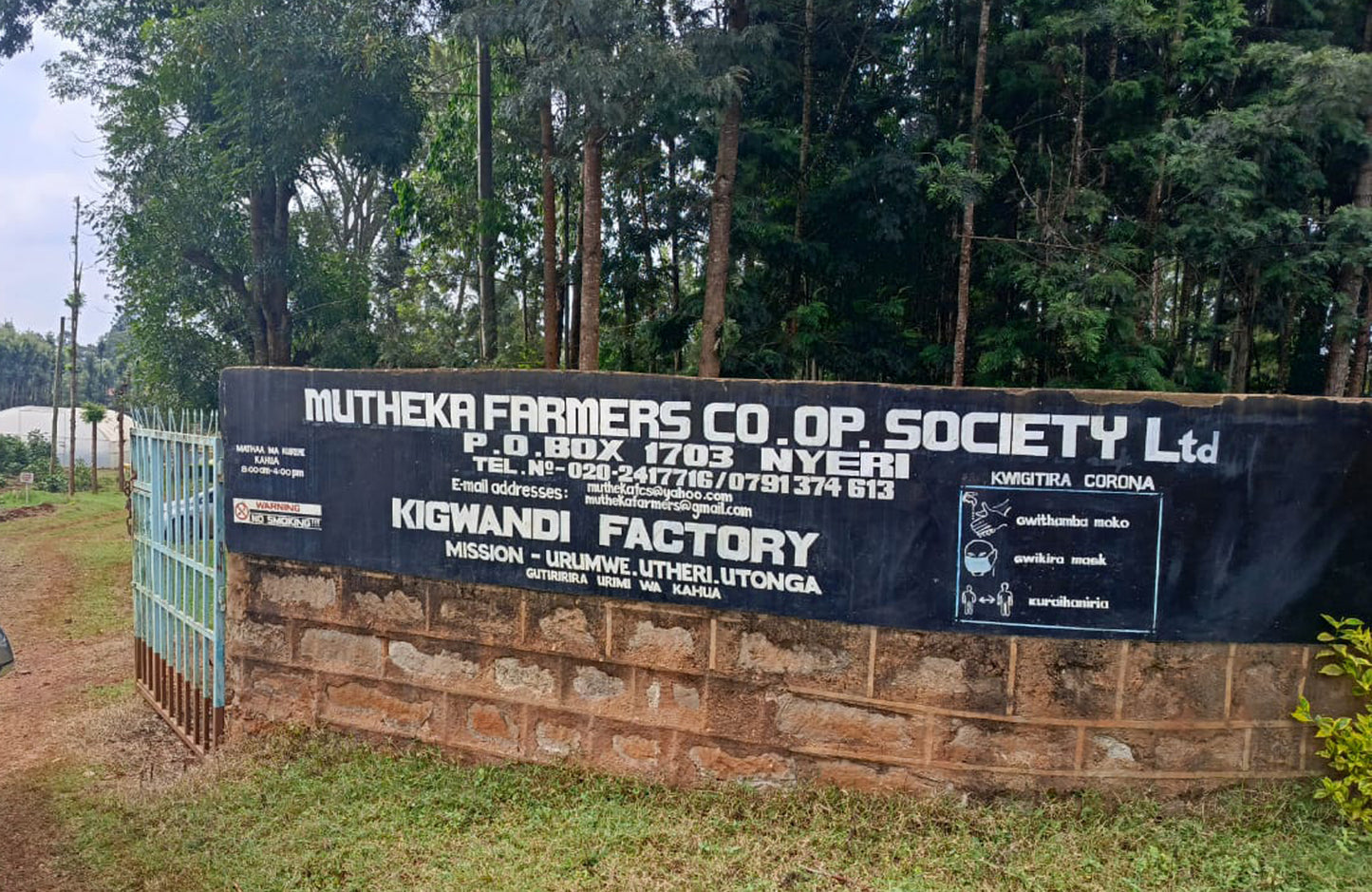 Kenya: Nyeri Swiss Water Decaf