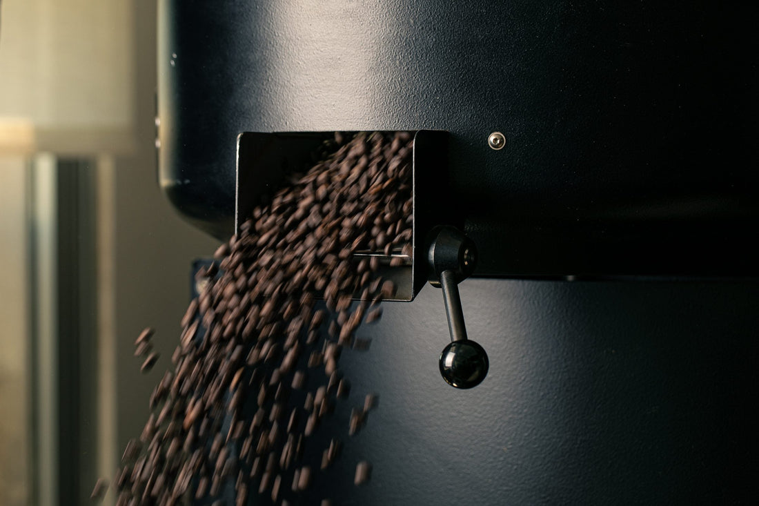 Caffè appena tostato nel raffreddatore della torrefazione Tomassi Coffee ad Aprilia