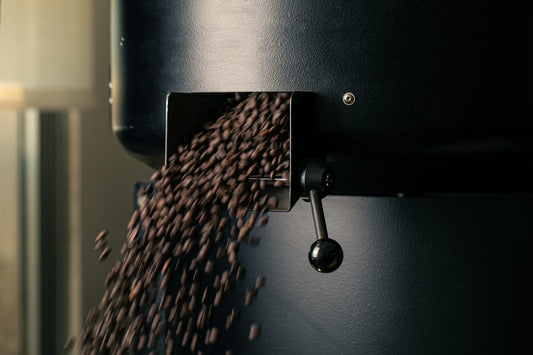 Caffè appena tostato nel raffreddatore della torrefazione Tomassi Coffee ad Aprilia