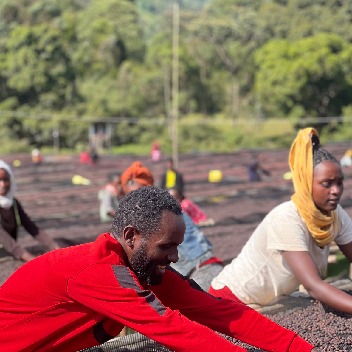 Etiopia: Kebena Hamasho Adnan