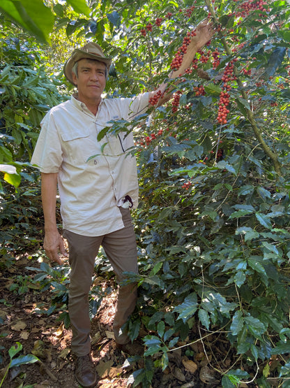 El Salvador: Finca El Gobiado