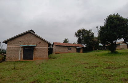 Kenya: Nyeri Swiss Water Decaf