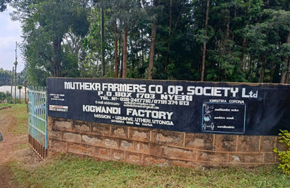 Kenya: Nyeri Swiss Water Decaf