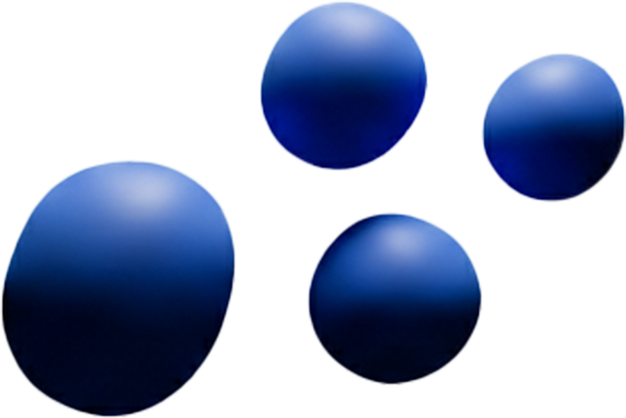 Blueberry