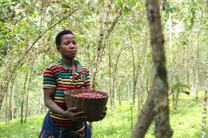 Burundi: Inzahabu Mukingiro