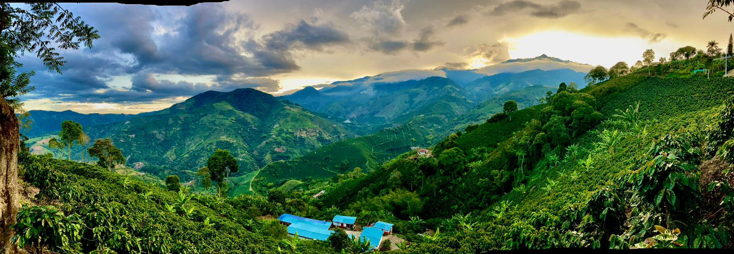 Colombia: Mikava Santuario Reserve