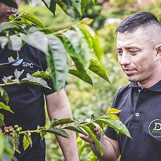 Colombia: Finca El Paraíso