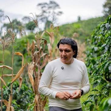 Il produttore tra il caffè e il mais della finca El Diviso, Colombia