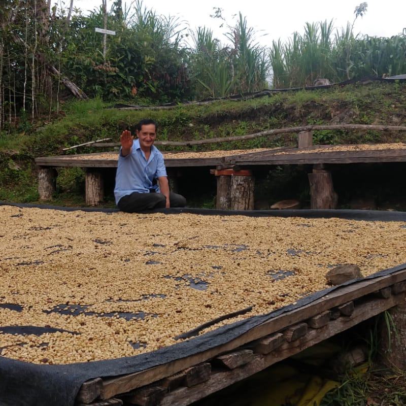Il produttore di Añas Blues davanti ai letti di essiccazione, Perù
