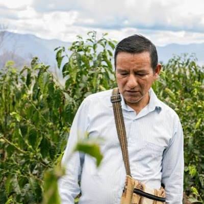 Il produttore tra le piante di caffè della farm Pituco, Perù